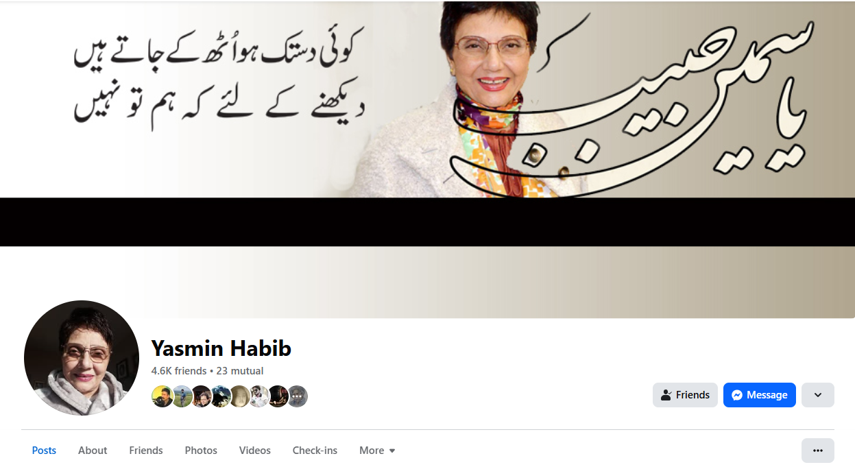 Facebook Pages Gallery Image 3